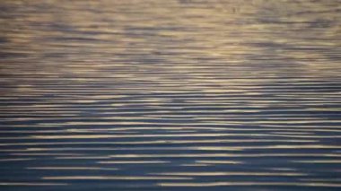 Gökyüzü yansıması ve günbatımı renkleriyle desenli göl dalgaları