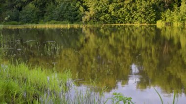 Yaz günbatımında bir gölün manzarası