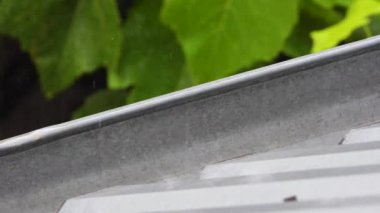 Çelik çatıda sağanak yağış