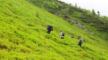 Dağlarda birlikte seyahat eden bir grup gencin yan görüntüsü. Sırt çantalı, sopalı, tepeye tırmanan, yürüyüş yapan üç turist. Seyahat ve yürüyüş kavramı.