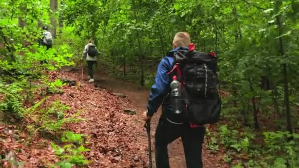 Vista Trasera Turistas Cansados Escalando Colina Caminando Bosque Grupo Jóvenes — Vídeos de Stock
