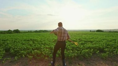 Ekose gömlek giyen, tarlada dans eden, bitki yetiştiren çiftçilerin arka görüntüsü. Kırsalda çalışan genç bir adam, filizler yetiştiriyor. Büyüme ve bitkilerle ilgilenme kavramı.