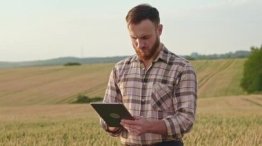 Yoğun, çalışkan çiftçi, tarım uzmanı, buğdayla ilgilenen biri. Sakallı bir adam tarlada buğdayla duruyor, inceliyor. Bitki ve tarım yetiştirme kavramı.