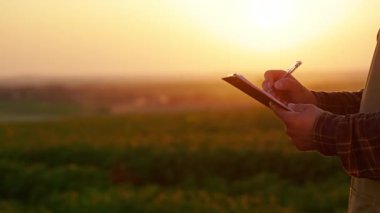 Ekose gömlek ve önlük giyen, tablet tutan, yazan bir adama yaklaş. Çiftçi bitki satıyor, ayçiçeği satıyor, tarlada çalışıyor. Bitki yetiştirme ve satma kavramı, ayçiçekleri.