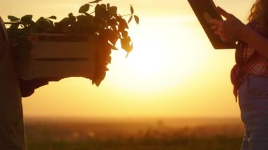 Gün batımında kıza lahana satan çiftçilere yakın çekim. Ekose gömlek giyen bir adam ve tablet tutan bir kız, el sıkışıyorlar. Bitki yetiştirme ve satma kavramı.