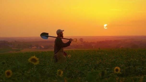 Boční Pohled Těžce Pracujícího Farmáře Jak Jde Drží Rýč Rameni — Stock video