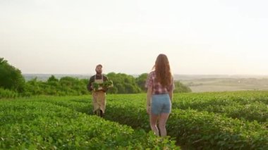 Çiftçilerin gülümsemesi, yürümesi, vermesi, kızlara lahana satması. Ekose gömlek giyen, önlük takan, büyüyen, bitkilerle ilgilenen bir adam. Bitkilerin büyümesi kavramı.