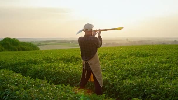 男性农民手持铁锹 田间劳作的倒影 男人穿着格子呢衬衫 围裙和帽子 种着植物 种植和照料植物的概念 — 图库视频影像