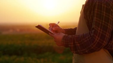 Önlük giyen, ekose gömlek giyen, bitki satan çiftçilere yakın çekim. Erkek çiftçi gün batımında tarlada duruyor, tableti tutuyor, yazıyor. Bitki yetiştirme ve satma kavramı.