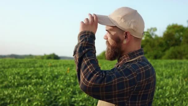 辛勤劳作 疲倦的农民站在田边观望的侧视图 穿着格子呢衬衫和围裙 工作的男人 种植和照料植物的概念 — 图库视频影像