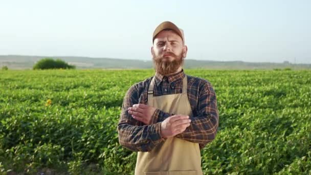 有胡子的年轻农民双手交叉地站在田边的正面景象 男人穿着格子呢衬衫 围裙和帽子 看着相机 在田里干活 植物生长的概念 — 图库视频影像