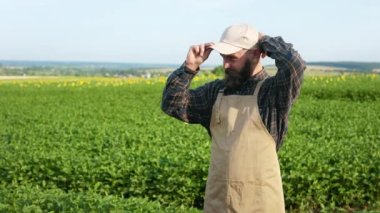 Tarlada çapraz ellerle dikilen sakallı çiftçinin ön görüntüsü. Kameraya bakan, şapkasını takan, kırsalda çalışan bir adam. Büyüme kavramı, bitkilerle ilgilenmek..