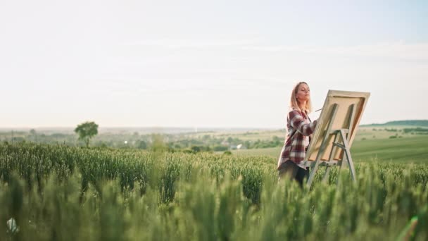 Seitenansicht Einer Künstlerin Mit Kariertem Hemd Die Feld Malt Blonde — Stockvideo