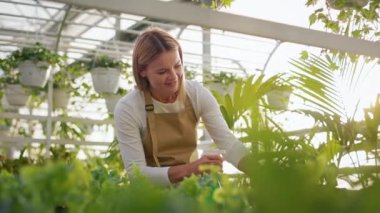 Neşeli, sarışın bir kadının elinde şişe tutarken, bitkileri portakalla sıkarken. Genç, güzel, kadın çiçekçi üniformalı, ayakta. Bitkilerle ilgilenme kavramı.