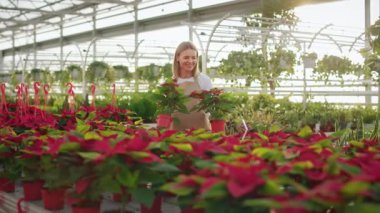 Odaklanmış, pozitif kadın çiçekçinin seradaki bitkilere hayran bakışları. Üniforma giyen güzel sarışın kadın. Büyüme ve bitkilerle ilgilenme kavramı.
