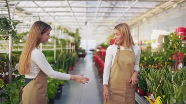 Side View Attractive Young Ladies Wearing Uniform Standing Greenhouse Shaking — Stock Video