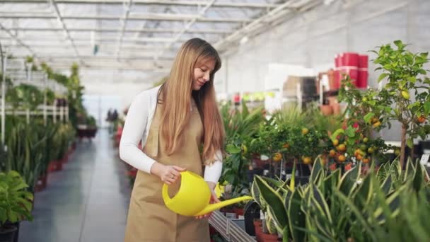 温室内の長い髪の散水植物と魅力的な女性の側面図 女性の花屋は エプロンを身に着けて笑顔 植物の栽培と管理の概念 — ストック動画