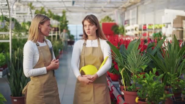2人の女性の花屋立ちの側面図 オレンジで働いています 若い女性が話し合い議論し植物を育てる 植物の栽培と管理の概念 — ストック動画