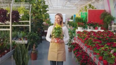 Kadın, sarışın çiçekçi serada çalışıyor, portakallar. Neşeli, pozitif bir bayan elinde saksı, kameraya bakıyor, gülümsüyor, mutlu. İşten zevk alma kavramı.