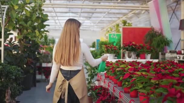 Genç Kadın Çiçekçinin Serada Yürüdüğünü Bitkileri Ilaçladığını Gördüm Önlük Giymiş — Stok video