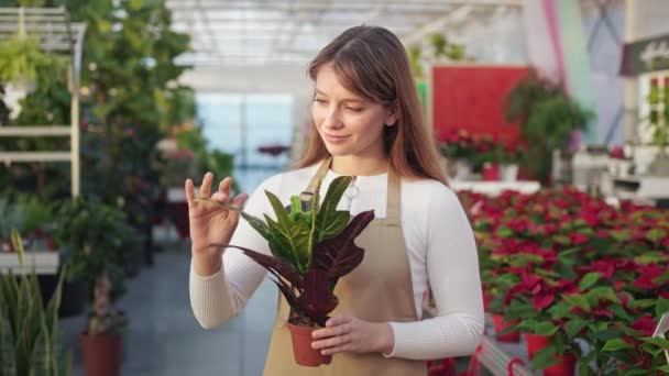 温室で働く 制服を着た若い 女性の花屋の側面図 美しく 肯定的な女性は 笑みを浮かべて植木鉢を保持 植物の栽培と管理の概念 — ストック動画