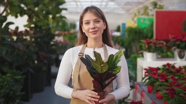 Front View Beautiful Female Florist Holding Flowerpot Walking Going Greenhouse — Stock Video