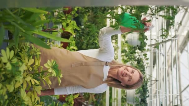 陽気な女性のフロントビューでは 温室内の植物を噴霧ボトルを保持 積極的な女性の花屋笑顔 賞賛の植物 植物の栽培と管理の概念 — ストック動画
