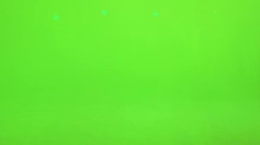 Okul çantalı çok ırklı çocuklar stüdyoda birbirlerini selamlıyorlar. Okula giderken tokalaşan sevimli kız ve oğlanın yeşil alanda izole edilmiş görüntüsü. Okul kavramı.