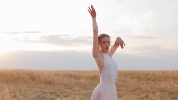 Elegant Woman Wearing White Stylish Dress Graceful Moving Field Wheat — Stock Video