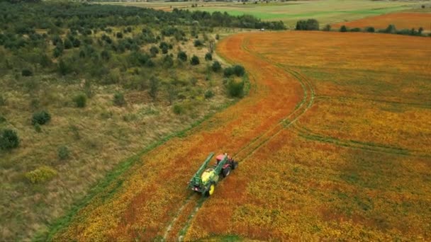 Панорамний Вид Поле Трактором Рухається Ньому Створює Окремий Шлях Серед — стокове відео