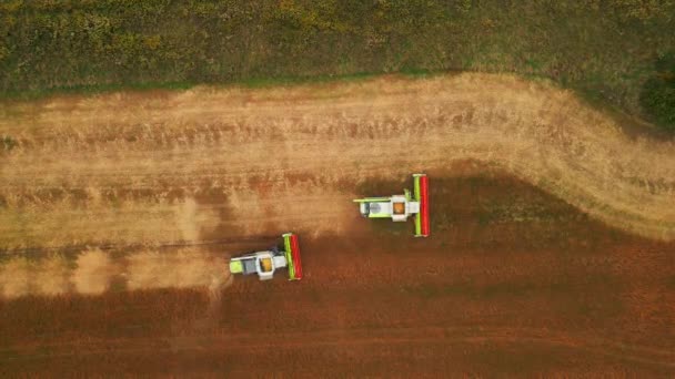 Vista Aérea Gran Campo Agrícola Con Dos Tractores Trabajando Activamente — Vídeo de stock