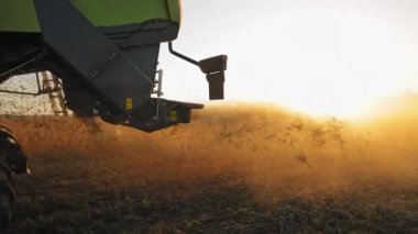 Gün doğumunda ya da günbatımında tarlada çalışan hasatçıyı birleştirin. Yeşil ve gri hasatçının yan görünüşü güneşin altın sarısı arkaplanlı atık ağacını gösteriyor.