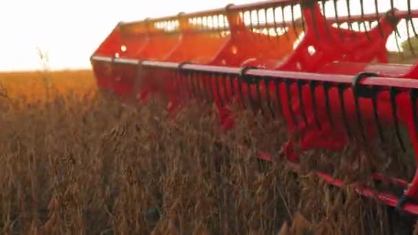 黄金の作物の畑を切断する赤い収穫メカニズムとの組み合わせのクローズアップビュー バックグラウンドに暖かい日光で機械の電気的な詳細 — ストック動画