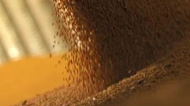 Крупним Планом Вид Великої Кількості Зерна Вливається Миску Створює Пил — стокове відео
