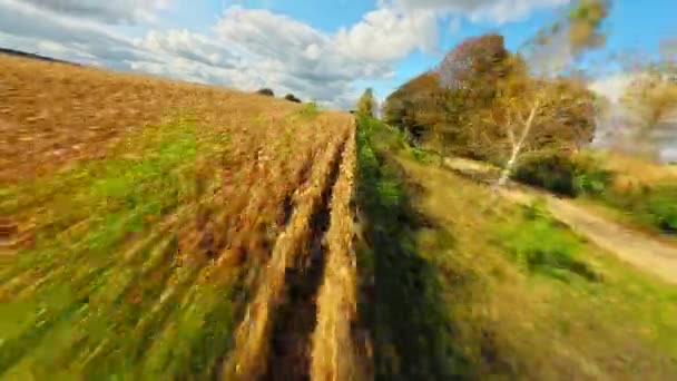 햇빛의 지역에서 농작물로 심어진 파노라마 나무와 창고와 목장으로 이어지는 도로와 — 비디오