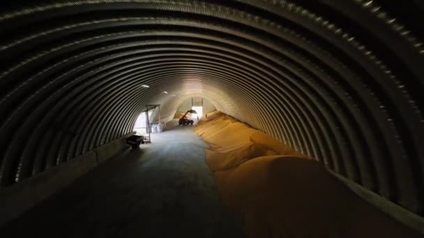 倉庫内に置かれている金の小麦粒の大きな山のトップビュー 農地の貯蔵用トラクターを用いて納屋に栽培作物を収集する労働者 — ストック動画