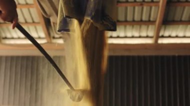 Çiftlik işçisi kepçeyi torbadan dökülen tahılın altına koyuyor. Fabrika asistanı olgun hasat örneklerini incelemek için düşen tohumları labaratuarda topluyor..