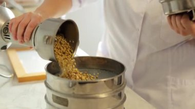 Kadın bilim adamı, kurutulmuş soya tanelerini metal bardaktan daha büyük bir kaseye döküyor. Laboratuvarda mısır gevreği hammaddesinin kimyasal bileşimi üzerine modern araştırma aşamaları.