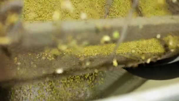 Вид Обертову Механічну Конструкцію Агрономічній Фабриці Перемішування Маси Кукурудзяних Ядер — стокове відео