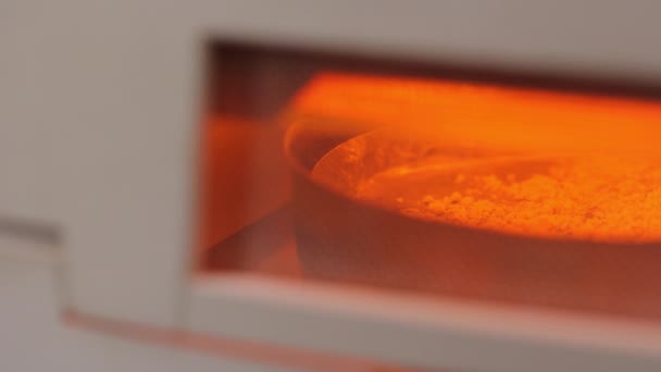 乾燥プロセス中に暖房機内に立っている粉砕粒を用いたトレイの作物 種子の発芽および害虫の抵抗を高めるための温度処理方法 — ストック動画