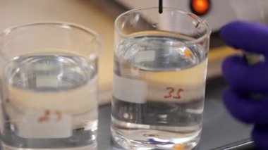 Eldivenlerdeki laboratuvar asistanı pipetli bir damla reaktör ekliyor ve cam bardaklardaki sıvıların analizini yapıyor. Kimyagerin elleri test merkezinde çalışırken özel ekipmanları manipüle ediyor..