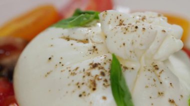 Salataya taze malzemelerle yakından bak. Bir parça mozzarella peyniri üzerine baharat serpiştirilmiş makas kesimi. Olgun kırmızı ve sulu domates ve yeşil fesleğen yaprakları..