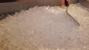 Metal kepçeyle pürüzsüz beyaz kristal maddeye yakından bak ve düz bir yüzey oluştur. Deniz ürünlerinin soğutulmasına hazırlanan sayısız buz küpü. Mutfak mesleği kavramı.