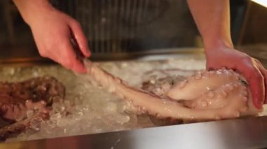 Ahtapotla başa çıkabilen becerikli bir erkek şef buz yatağında yatıyor. Soluk renkli taze ürün ve sayısız enayiyle dokunaçlar. Mutfak için modern mutfakta sergileniyor..