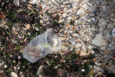Plastik bardak ve deniz sahilindeki diğer çöpler. Plaj kirliliği, ekolojik konsept. Yumuşak odak resmi.