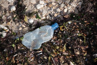 Plastik şişe çakıl taşı sahiline atılmış.