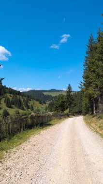 Romanya 'daki sakin bir dağ vadisinde gezinen ve doğanın güzelliğini gözler önüne seren resimli çakıllı yol.