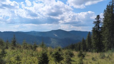 Yuvarlanan tepelerin ve dağların yamaçlarını kaplayan Evergreen ağaçları yaz gökyüzünün altında