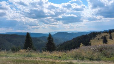 Yuvarlanan tepelerin ve dağların yamaçlarını kaplayan Evergreen ağaçları yaz gökyüzünün altında