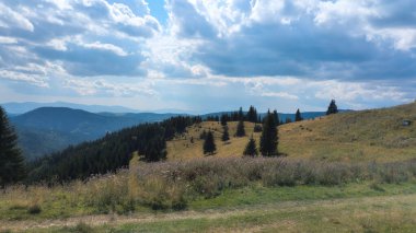 Yuvarlanan tepelerin ve dağların yamaçlarını kaplayan Evergreen ağaçları yaz gökyüzünün altında
